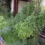Guest house Piatsa Michalis 4*