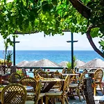 Piatsa Michalis ポトス