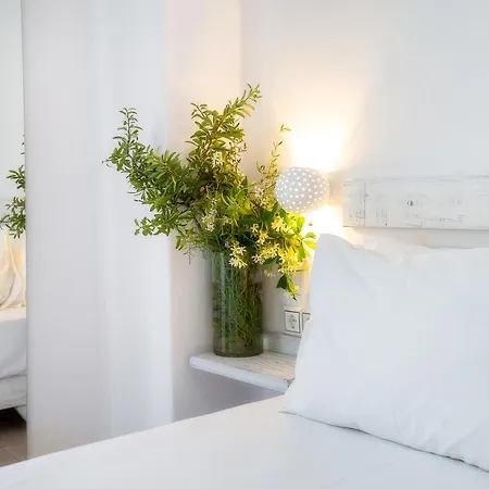 Pensiune Piatsa Michalis Potos