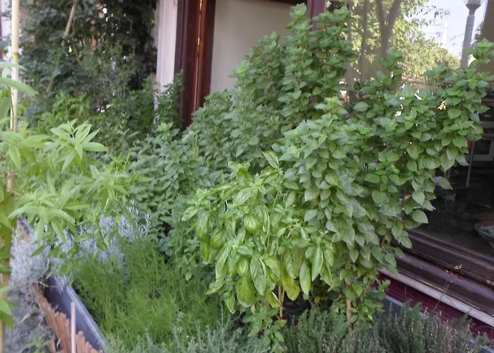 ゲストハウス Piatsa Michalis 4*