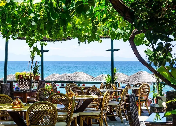 Piatsa Michalis ポトス