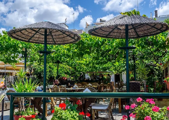 Piatsa Michalis 4* ポトス